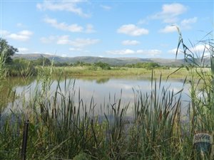 401 ha Farm in Modimolle