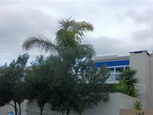 3 Bedroom House in Melkbosstrand