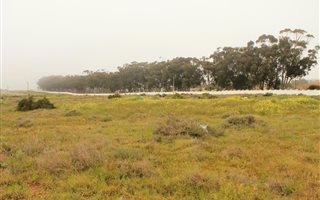 832 m² Land available in Darling