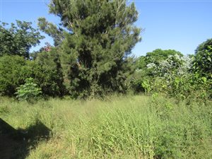 4405 m² Land available in Ashburton