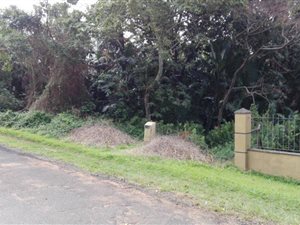 1167 m² Land available in Trafalgar