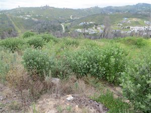 883 m² Land available in Knysna Heights