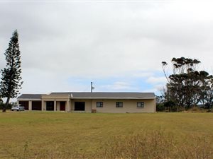 8 ha Farm in East London Central