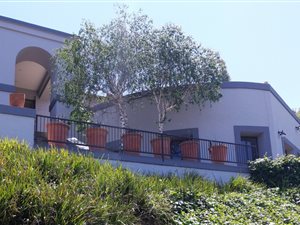 3 Bed House in Cornwall Hill