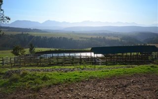 375 ha Farm in Plettenberg Bay