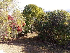 926 m² Land available in Rexford