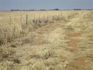 434 ha Farm in Lichtenburg