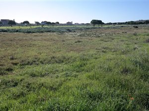 690 m² Land available in Langebaan