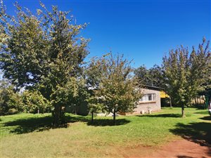 1.4 ha Farm in Homestead Apple Orchards