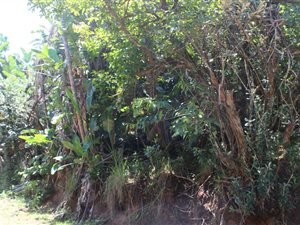 1147 m² Land available in Trafalgar