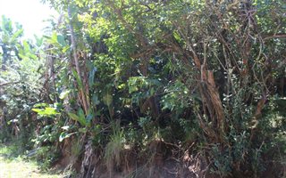 1147 m² Land available in Trafalgar