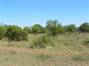 3.2 ha Land available in Roodeplaat