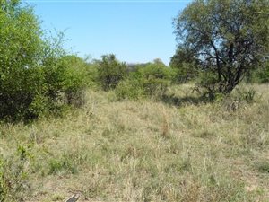 3.2 ha Land available in Roodeplaat