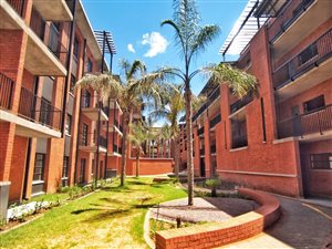 1 Bed Apartment in Melrose North