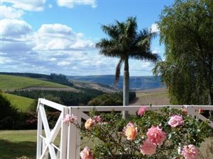 17 ha Farm in Bishopstowe