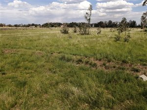 10 ha Land available in Walkerville