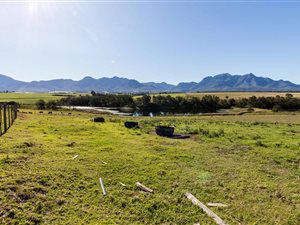 42 ha Farm in George Rural