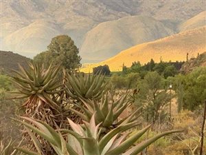 1.8 ha Farm in Ladismith