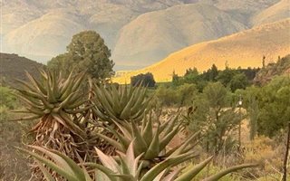 1.8 ha Farm in Ladismith