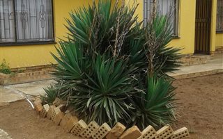 3 Bedroom House in Etwatwa