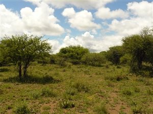 3 ha Land available in Roodeplaat