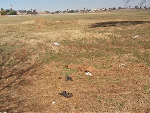 325 m² Land available in Kwa Thema