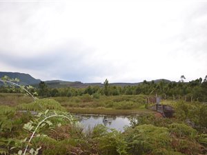 12.8 ha Land available in Sabie