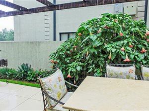 3 Bedroom Cluster in Craighall
