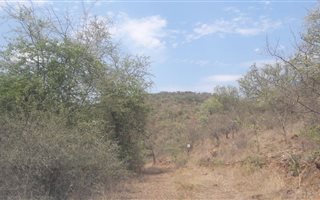 1.4 ha Land available in Steelpoort