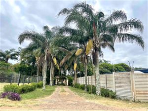 3 ha Farm in Verulam