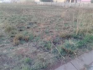 1109 m² Land available in Jameson Park