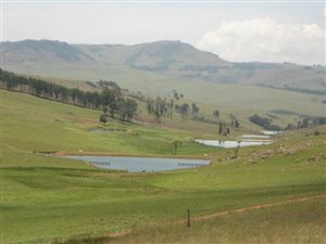 1 ha Land available in Dullstroom