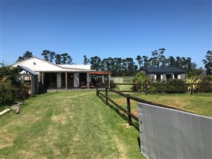 8.8 ha Farm in Geelhoutboom