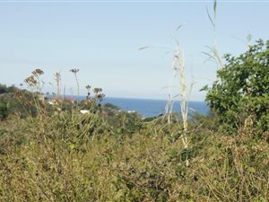 1679 m² Land available in Mount Richmore Estate
