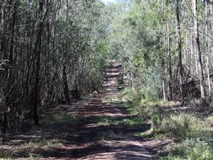 50 ha Land available in Knysna Central