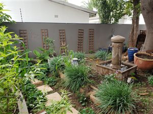 1 Bedroom Garden Cottage in Emmarentia