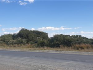 10.7 ha Farm in Mafikeng