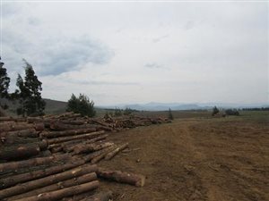 23 ha Land available in Kamberg