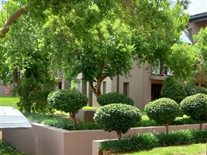 2 Bed Apartment in Eldoraigne