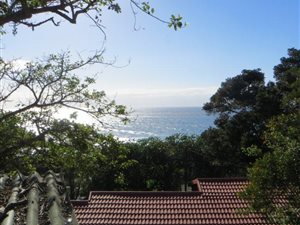 2 Bed Simplex in Palm Beach