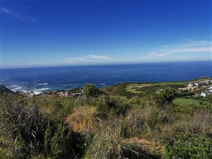 1125 m² Land available in Pezula Golf Estate