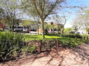 447 m² Commercial space in Westville