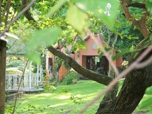 1.2 ha Farm in Uvongo