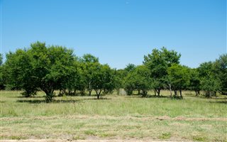 1000 m² Land available in Boschkop