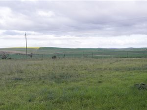 1132 m² Land available in Riviersonderend