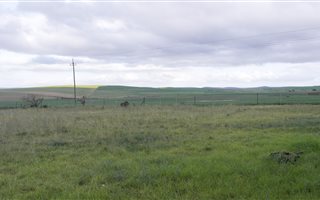 1132 m² Land available in Riviersonderend