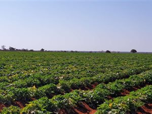 Farm in Alldays