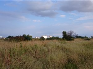 1629 m² Land available in Neserhof