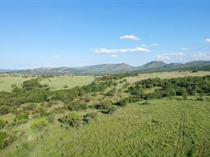 22.6 ha Farm in Broederstroom