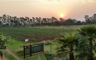 8.5 ha Farm in Honingnestkrans